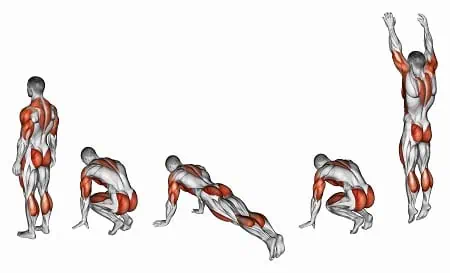 Burpee