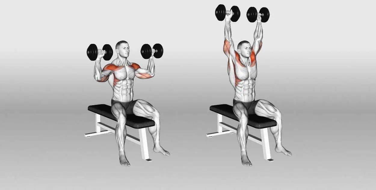 Seated Dumbbell Overhead Press