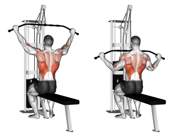 lat pull down