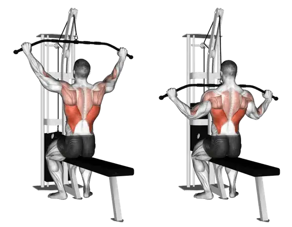 lat pull down