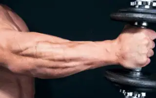 forearm 9
